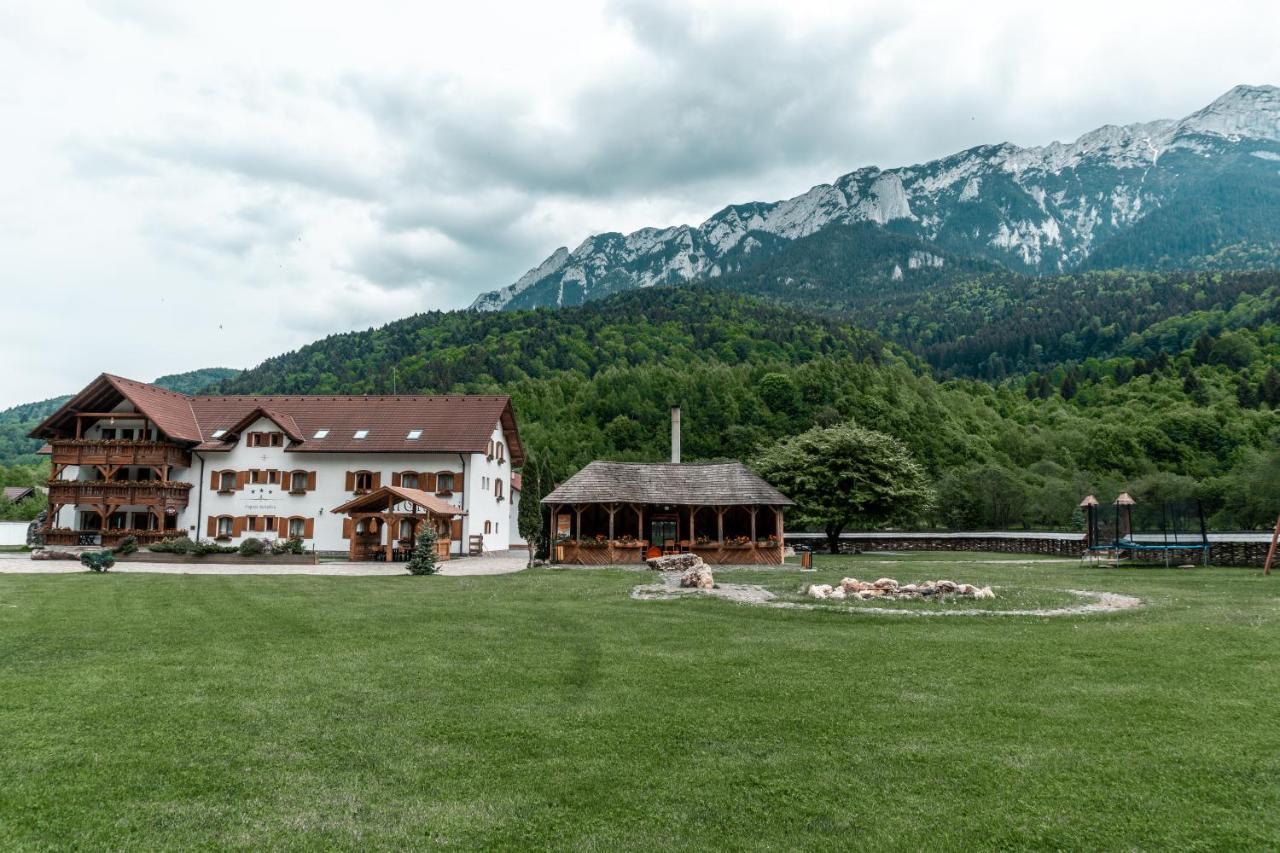 Popasul Craiului Zarnesti Exterior foto
