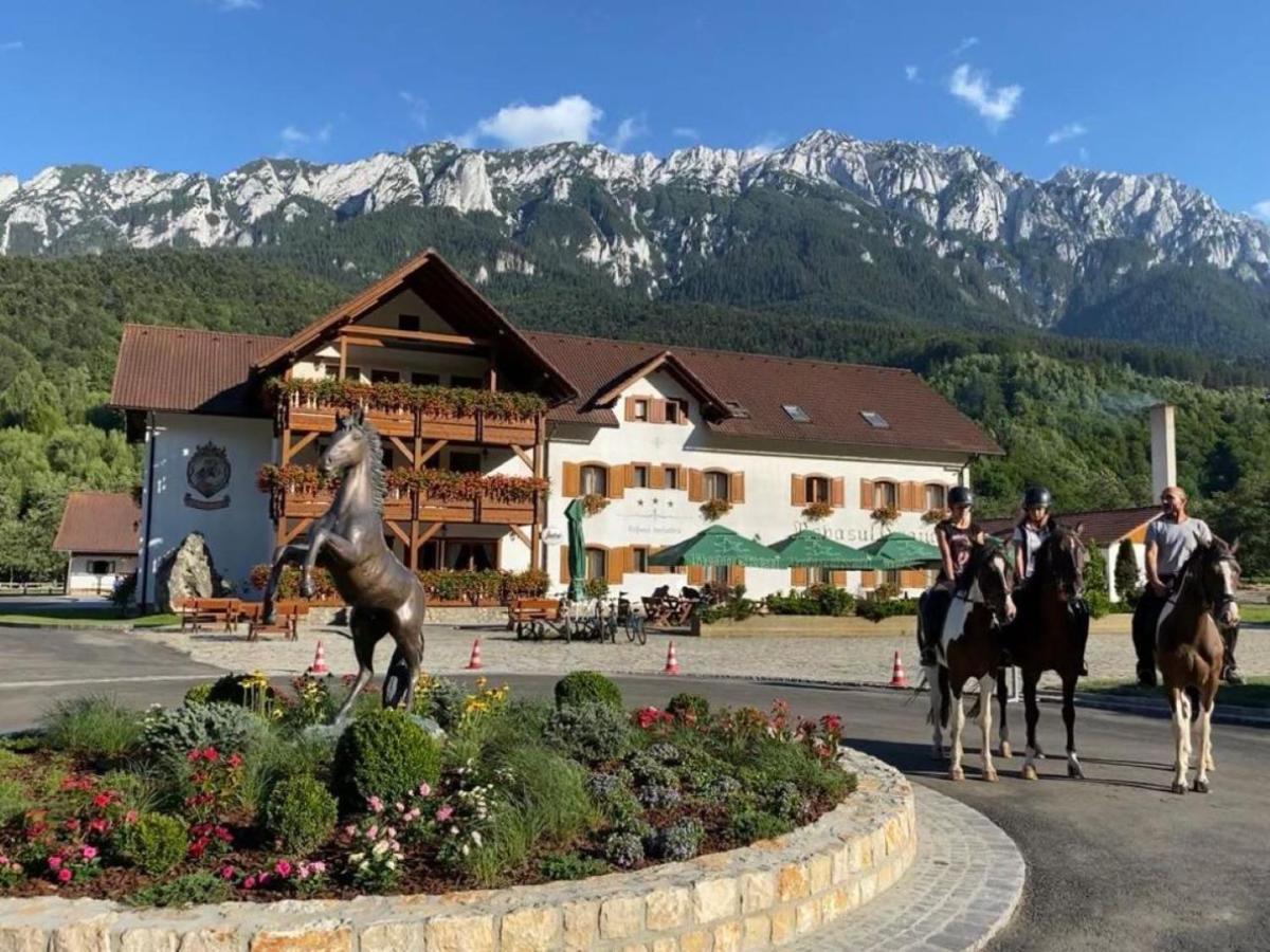 Popasul Craiului Zarnesti Exterior foto