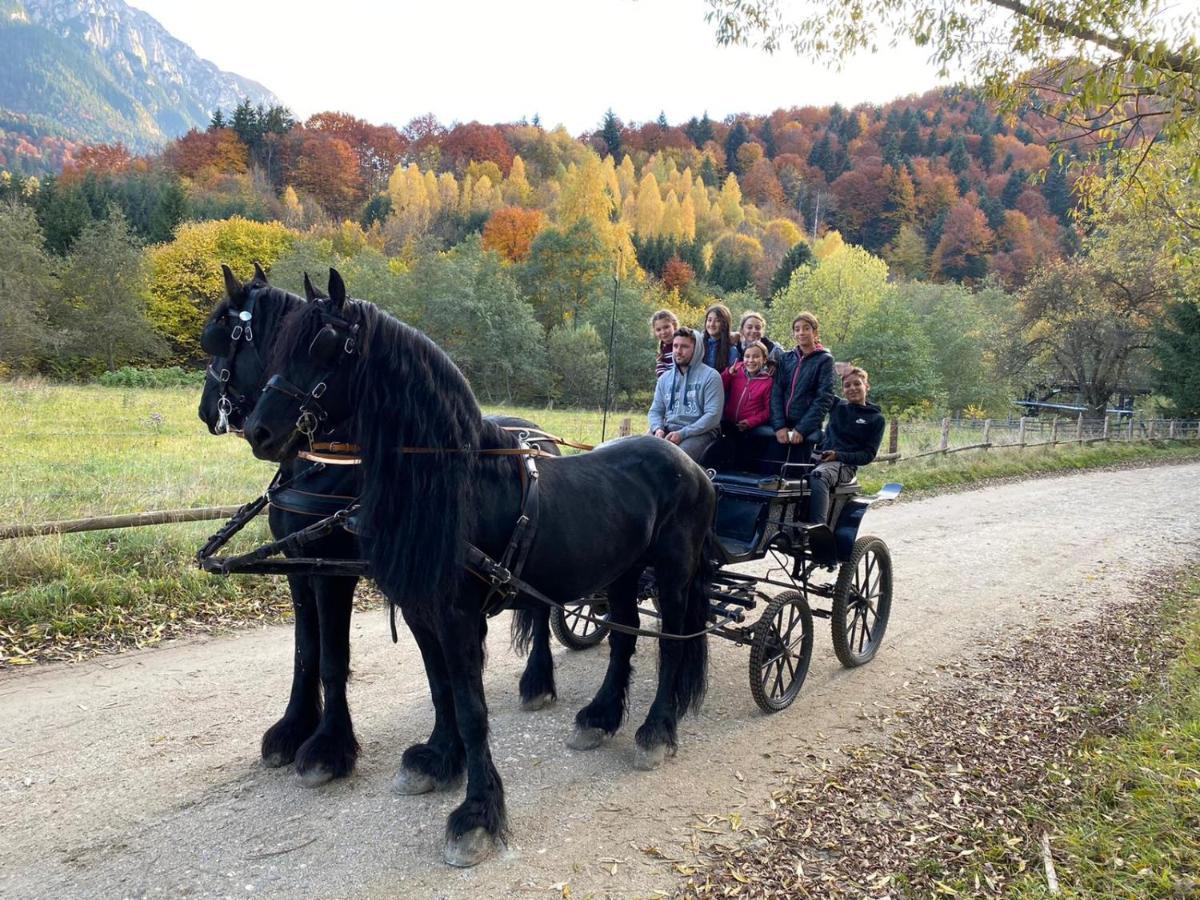 Popasul Craiului Zarnesti Exterior foto